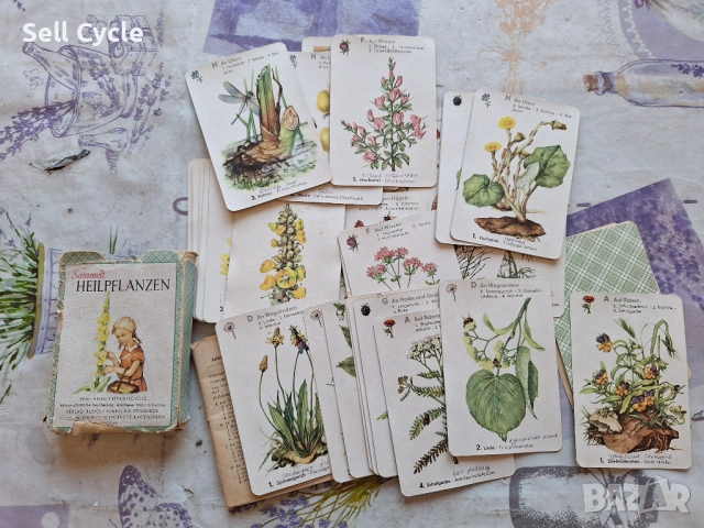 ✅НЕМСКИ КАРТИ - ЛЕЧЕБНИ РАСТЕНИЯ ОТ 1960 Г.❗, снимка 4 - Антикварни и старинни предмети - 54137536