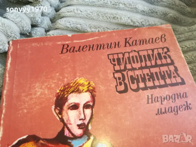 ЧИФЛИК В СТЕПТА 0701251818, снимка 4 - Художествена литература - 48590487