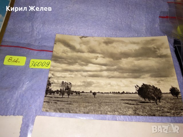 ЛОТ 4 Стари ПОЩЕНСКИ КАРТИЧКИ ТЕМАТИКА БРАТИСЛАВА БУДАПЕЩА и Други с ПОЩЕНСКИ МАРКИ 36009, снимка 3 - Филателия - 39425236