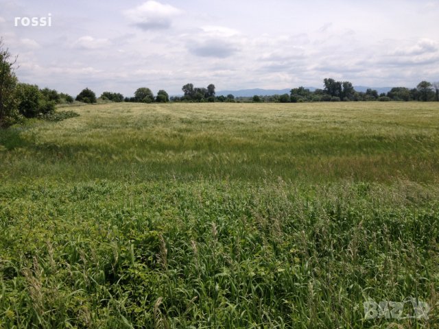 4330 кв.м. ПИ в Чепинци, ул. Чепинско шосе, Столична община, снимка 4 - Парцели - 30780717