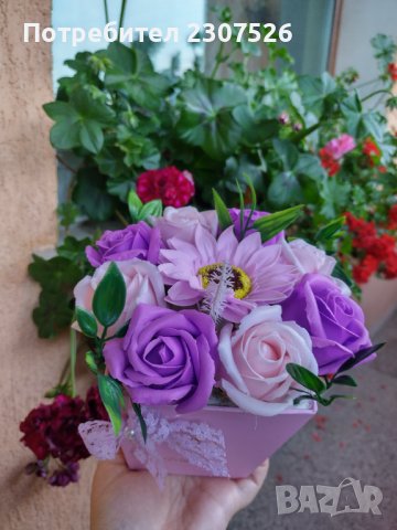 Цветя, снимка 2 - Стайни растения - 40835201