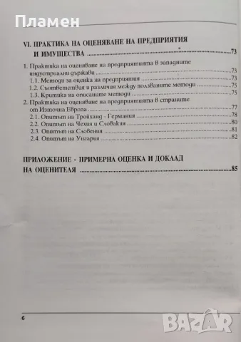Оценка на предприятия Мария Орхаева, Елеана Гонгалова, Иван Николов, снимка 3 - Специализирана литература - 48281452