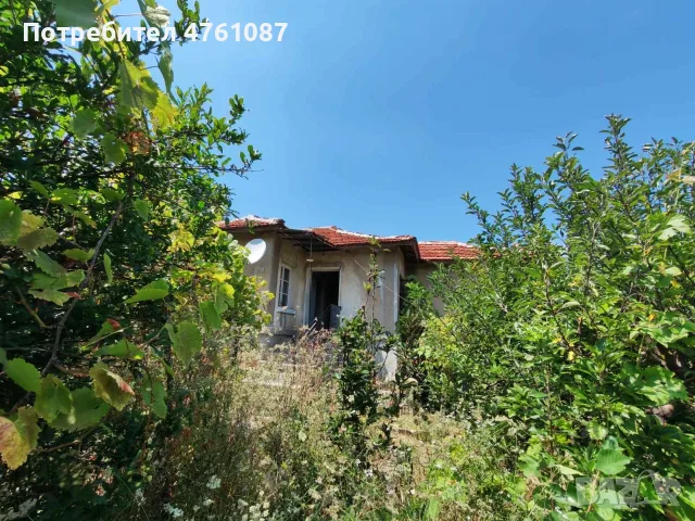 Отличен имот с голям парцел (1070 кв.м) и 3 спални в село Николово, обл. Хасково, снимка 3 - Къщи - 56054874