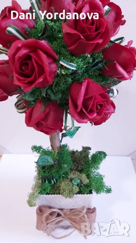 Сапунени рози-дърво и скандинавски мъх , снимка 3 - Други - 39481359