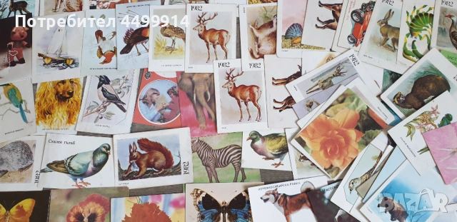 Календарчета -82 броя от 1983 до 1986 година, снимка 6 - Колекции - 54216771