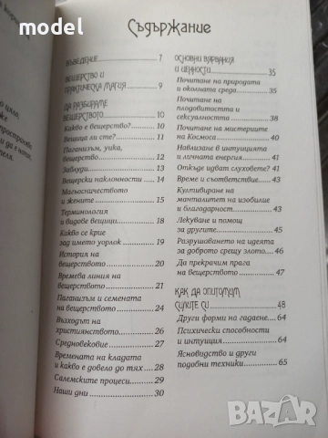 Вещерство: История, основи на магията и полезни заклинания - Тоня А. Браун, снимка 3 - Езотерика - 49481458