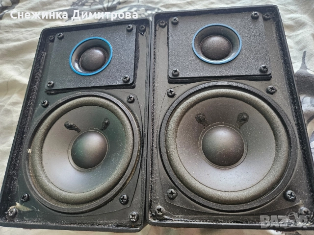 Тонколони Blaupunkt CB 4500 100 вата, снимка 4 - Тонколони - 51550720