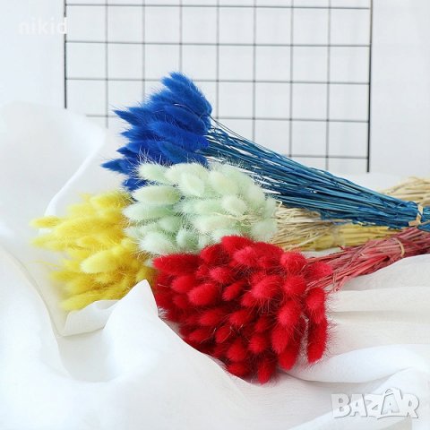 Сноп 10 бр натурален Овален лагурус Заешка опашка пухчета декорация аранжиране ваза букет цветя сухи, снимка 2 - Изкуствени цветя - 29744349