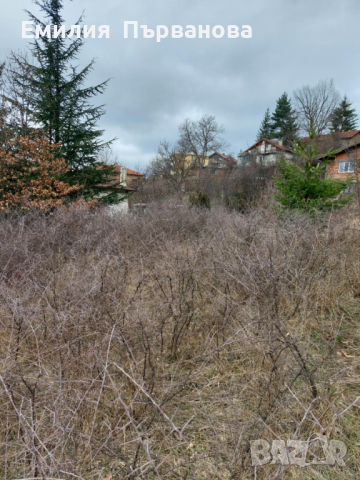 Продава  ПАРЦЕЛ в с.Мърчаево област София, снимка 8 - Парцели - 44724553