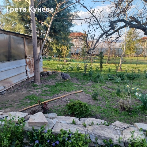 Къща с двор в Мечкарево, обл. Сливен, снимка 15 - Къщи - 53807889