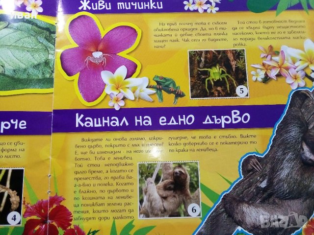 Енциклопедия със стикери "Как се маскират животните", снимка 4 - Детски книжки - 38926085