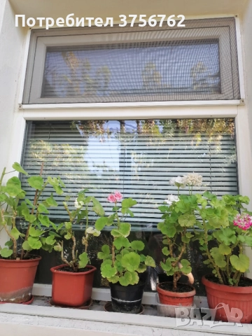 Продавам 3 броя много запазена PVC дограма , снимка 2 - Дограми - 52552890