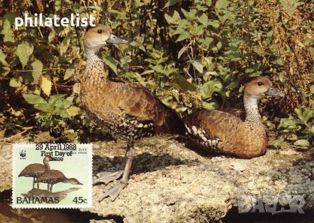 Бахамски о-ви 1988 - 4 броя Карти Максимум - WWF, снимка 3 - Филателия - 38788333