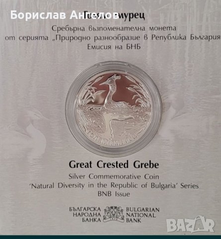 Сребърна монета- Голям гмурец!!! , снимка 2 - Нумизматика и бонистика - 38169845