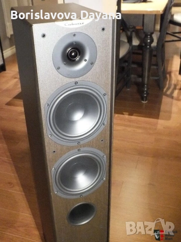 тонколони Cabasse MT3 Jersey , снимка 7 - Тонколони - 53197110