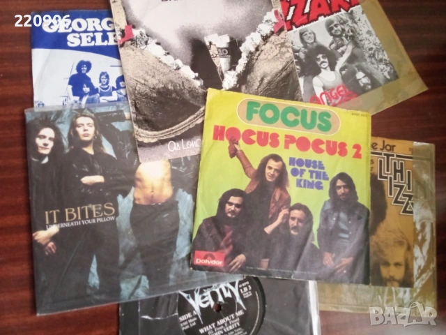 Hard, Prog, Indie Rock ЛОТ от 7 малки плочи, снимка 2 - Грамофонни плочи - 53258039