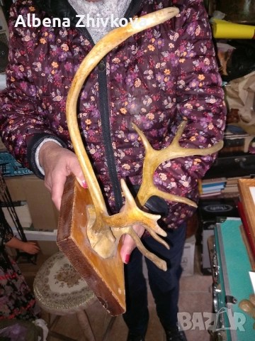 ловен трофей от 1976 г , снимка 3 - Ловно оръжие - 51972883