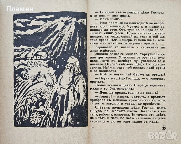 Мравешка история Ангелъ Каралийчевъ /1931/, снимка 7 - Антикварни и старинни предмети - 50737050