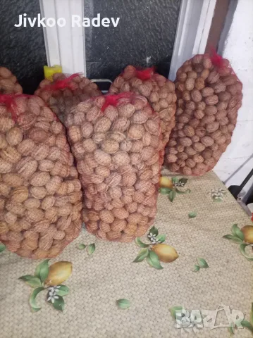  орехи от овошна градина