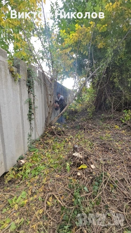 почистване Косене на трева кърти, снимка 8 - Хамалски услуги - 53224029