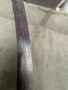 продавам каракулак ятаган сабя, снимка 11