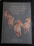 Записки по българските възстания 1870-1876. Томъ 1-3