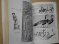 "История на изкуството - том 1" Михаил Алпатов , снимка 4