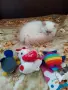 Малки персийски дългокосмести многоцветни домашни любимци!, снимка 2