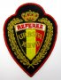 Футболни рефери-Белгийска футболна федерация-Стара емблема-Оригинал, снимка 3