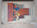 Ръководство по консервиране М. Ширяевъ 1942 година, снимка 1