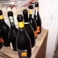 Стъклени бутилки от шампанско, снимка 2 - Буркани, бутилки и капачки - 39278491