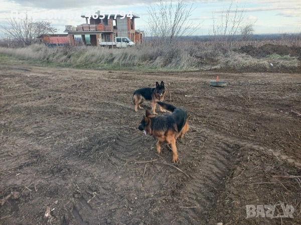 Парцел в Брестник! , снимка 1
