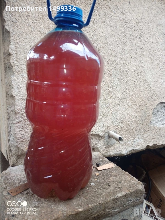 домашен винен оцед, снимка 1