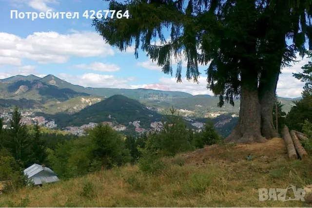 Поземлен имот - За продажба, снимка 5 - Парцели - 47873176