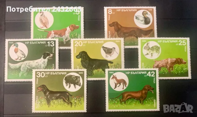 2549. България 1985 = БК 3470 /76: “Фауна. Ловджийски кучета.”, MNH, **
