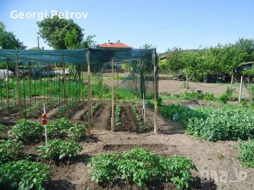 Био Тор за зеленчуци и овощни дръвчета (50л-12лв). Биотор от Калифорнийски червеи за вашата градина