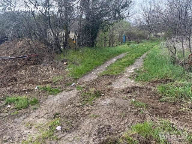  794 кв лозе  НА ПЪРВА ЛИНИЯ  / ГРАДИНА / терен / парцел / в гр. Силистра - ПОД ОСМИ ПОСТ , пътя за , снимка 7 - Земеделска земя - 54133231