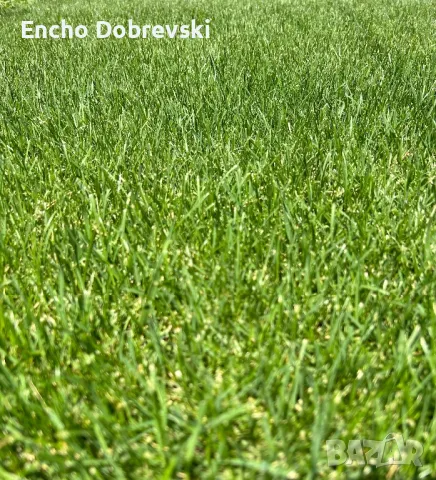 Градинарски услуги, цялостна поддръжка, озеленяване, автоматизирани поливни системи, снимка 9 - Други услуги - 46612177