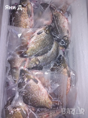 Шаранчета до 1.5кг, почистени