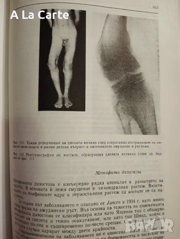 Клинична Ортопедия , снимка 2 - Специализирана литература - 48426922