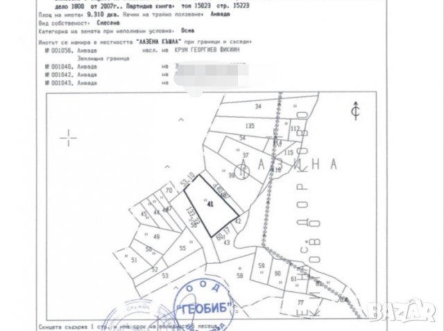 13 дка Цигов Чарк ПЪРВА ЛИНИЯ, снимка 1
