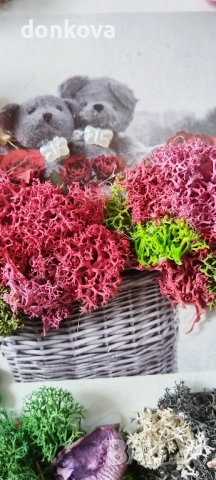 декорации ръчно изработени от жив скандинавски мъх и сапунени рози., снимка 2 - Декорация за дома - 52206004