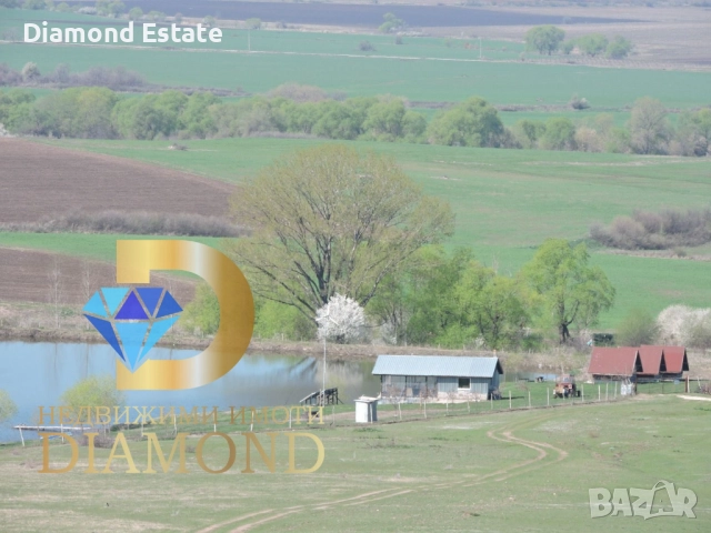 Имот с малка вила и три бунгала в село Сталево, общ. Димитровград, снимка 2 - Други - 52612150