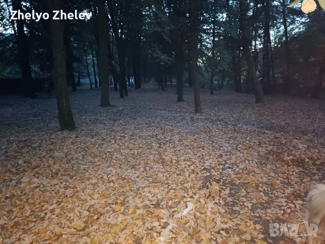 Спортно елегантни панталони на марката Kangol , снимка 17 - Панталони - 42815698