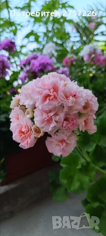 P.Персиковий Авантюрин 