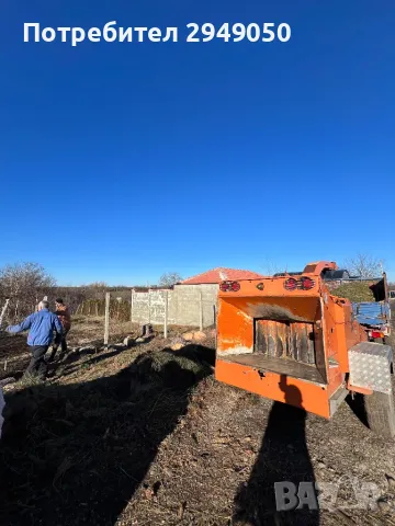 Премахване и кастрене на опасни дървета, снимка 9 - Други услуги - 49334998