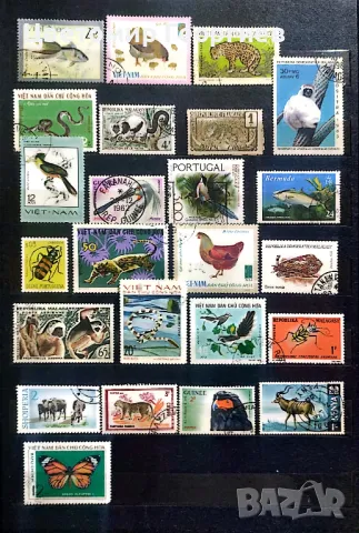 Животни 122 бр., снимка 5 - Филателия - 48272933