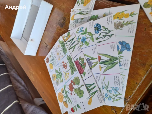 Старо Лото Цветя, снимка 4 - Други ценни предмети - 48549486