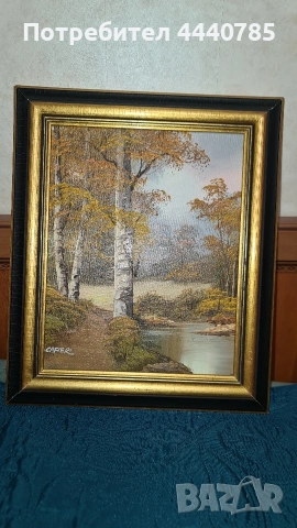 Картини масло в/у платно, снимка 4 - Картини - 53113820