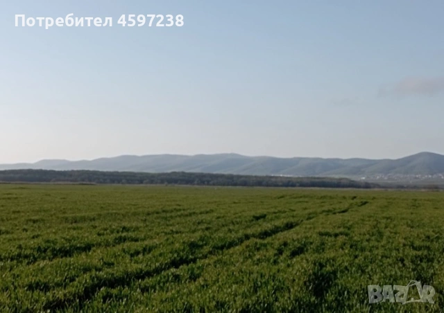Продава се Парцел в ид.ч. в к.к.Слънчев бряг, Несебър, снимка 8 - Парцели - 51742857